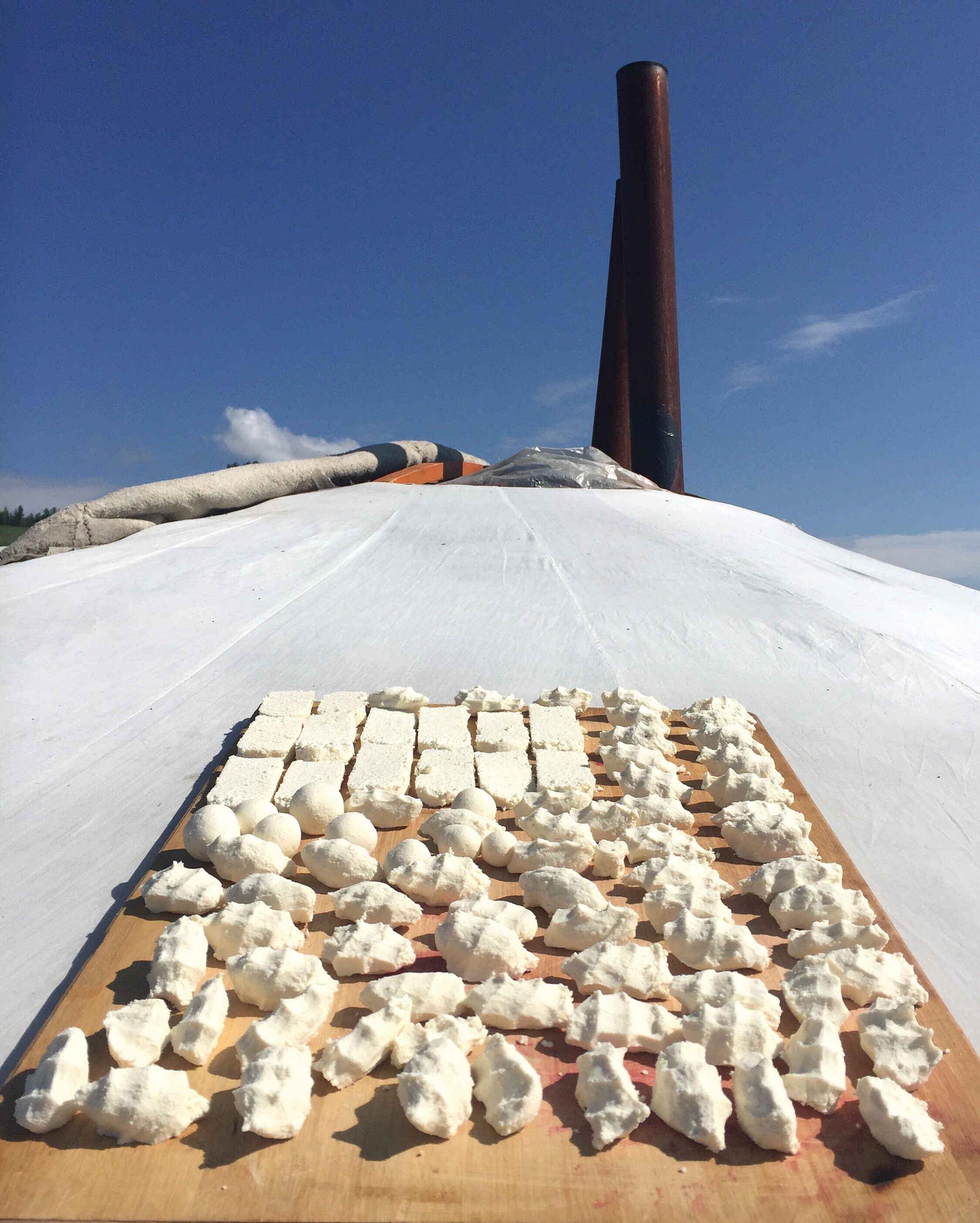 Winter 2026 Newsletter